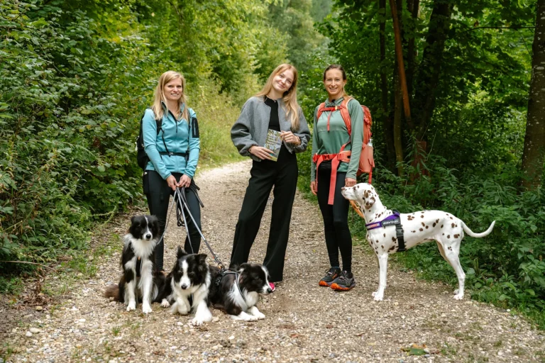 Wandern mit Hund in Kärnten