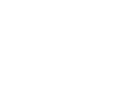 Elegantes weißes Falkensteiner Schlosshotel Velden-Logo mit modernem Falken-Symbol, fünf Sternen, auf kräftigem Schwarz - für ein auffälliges Branding. – SquadTwenty Werbeagentur Kärnten