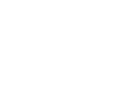 Schlichtes weißes "Edelweiss Ferien"-Logo mit stilisiertem Edelweiß auf schwarzem Grund, gefertigt von der Werbeagentur Kärnten für modernes Flair. – SquadTwenty Werbeagentur Kärnten