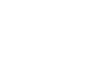 Schlichtes weißes Logo für "das loewenzahn restaurant": ein moderner Löwenkopf mit Löwenzahnsamen auf Schwarz - ideal für digitale Kreative. – SquadTwenty Werbeagentur Kärnten